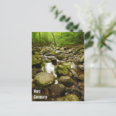 Carte postale Harz Allemagne (Debout devant)