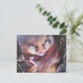 Carte Postale Haselmaus-Postkarte (Debout devant)