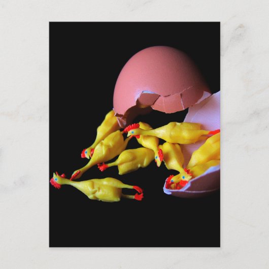 Carte Postale Hatchling en caoutchouc de poulet (Devant)