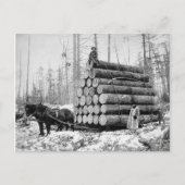 Carte Postale Hauling a Load of Logs, 1908 (Devant)