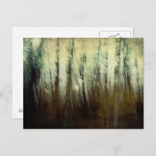 Carte postale Haunted Woods (Devant / Derrière)