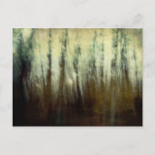 Carte postale Haunted Woods (Devant)