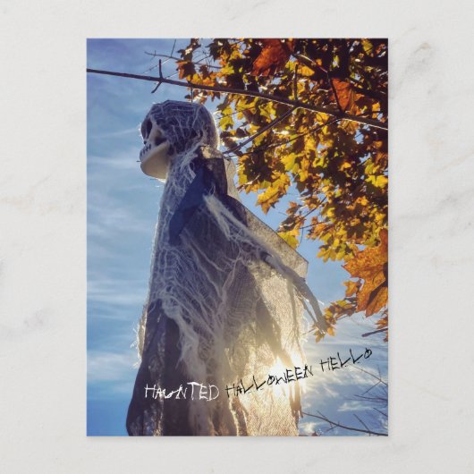 Carte postale Haunween Hello Spirit (Devant)