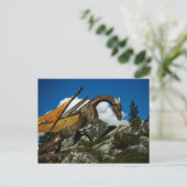 Carte postale Haut (Debout devant)