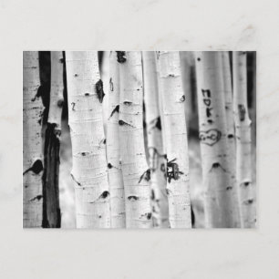Carte Postale Haut Aspen