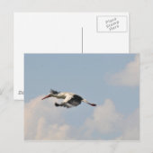 Carte Postale Haut dans le ciel (Devant / Derrière)