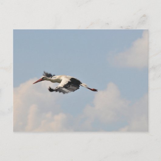 Carte Postale Haut dans le ciel (Devant)