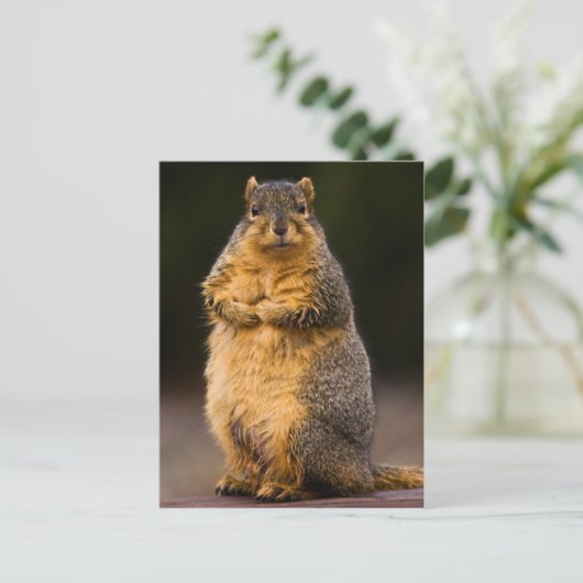 Carte Postale Haut debout (Debout devant)