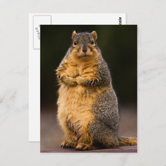 Carte Postale Haut debout (Devant / Derrière)