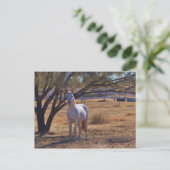 Carte Postale Haut debout (Debout devant)