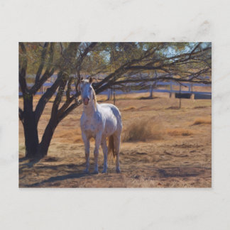 Carte Postale Haut debout