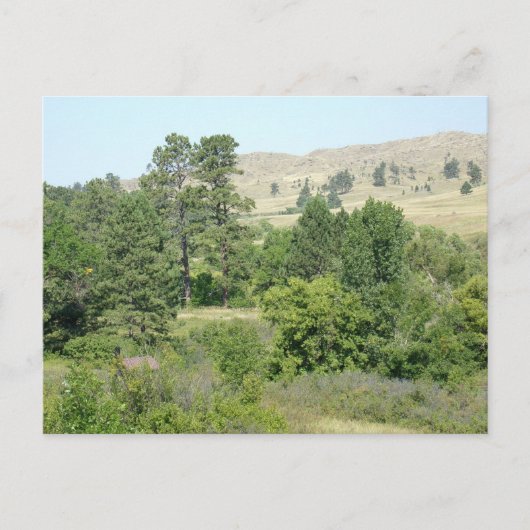 Carte Postale Haut désert (Devant)