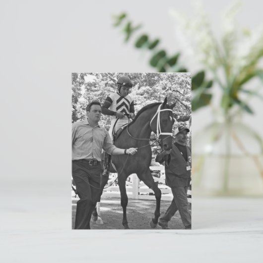 Carte Postale Haute rançon (Debout devant)