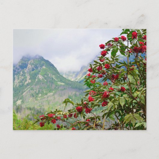 Carte Postale Haute Tatras Slovaquie (Devant)