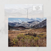 Carte Postale Hautes terres de l'Est, fleurs du Zimbabwe (Devant / Derrière)