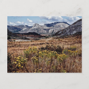 Carte Postale Hautes terres de l'Est, fleurs du Zimbabwe