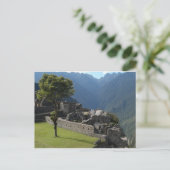 Carte Postale Hauteur ruineuse (Debout devant)