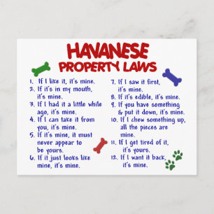 Carte Postale HAVANESE, lois sur la propriété 2