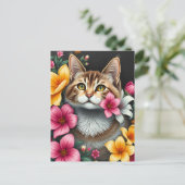 Carte Postale Havre de chat botanique (Debout devant)
