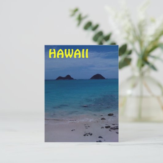 Carte Postale Hawaï (Debout devant)