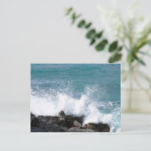 Carte postale hawaïenne (Debout devant)