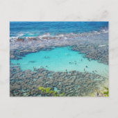 Carte postale hawaïenne (Devant)