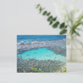 Carte postale hawaïenne (Debout devant)