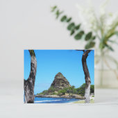 Carte postale hawaïenne (Debout devant)