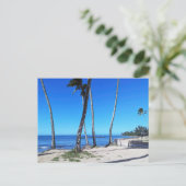Carte postale hawaïenne (Debout devant)