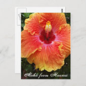 Carte postale hawaïenne, hawaïen, aloha, hibiscus, (Devant / Derrière)