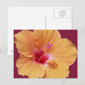 Carte postale hawaïenne tropicale (Devant / Derrière)