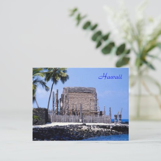 Carte Postale Hawaii (Debout devant)
