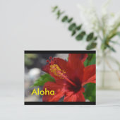 Carte postale Hawaii (Debout devant)