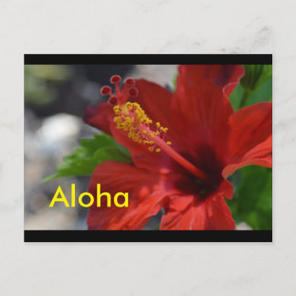 Carte postale Hawaii
