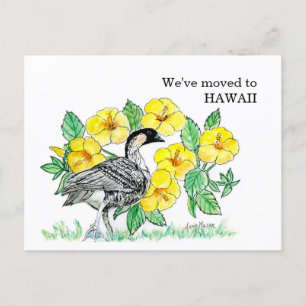 Carte Postale Hawaii