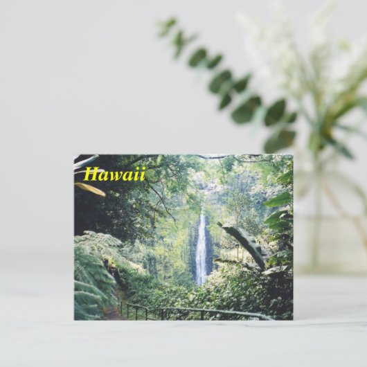Carte postale Hawaii (Debout devant)