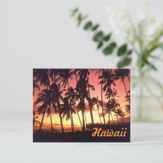 Carte postale Hawaii (Debout devant)