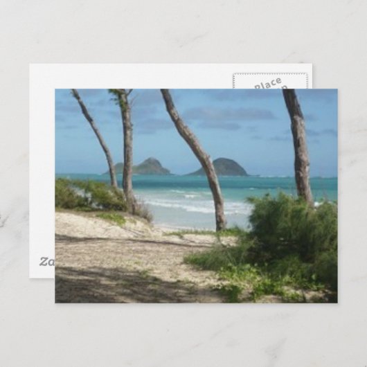 CARTE POSTALE HAWAII ALOHA COLLECTION (Devant / Derrière)