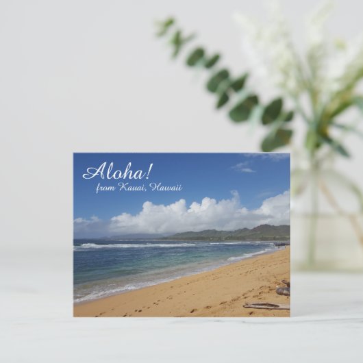 Carte postale Hawaii Beach (Debout devant)