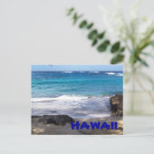 Carte postale Hawaii Beach (Debout devant)
