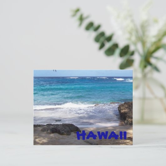 Carte postale Hawaii Beach (Debout devant)