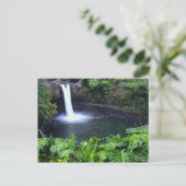 Carte Postale Hawaii, Big Island, Hilo, Rainbow Falls, Lush (Debout devant)