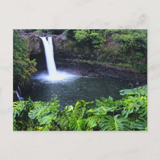 Carte Postale Hawaii, Big Island, Hilo, Rainbow Falls, Lush (Devant)