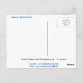CARTE POSTALE HAWAII BLOWALL#2 (Dos)