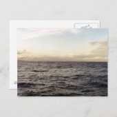 Carte Postale Hawaii Blue (Devant / Derrière)