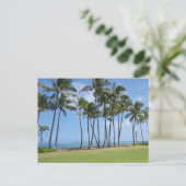 Carte postale Hawaii Coast (Debout devant)