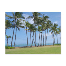 Carte postale Hawaii Coast