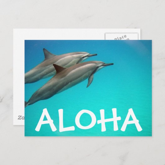 Carte postale Hawaii Dolphins (Devant / Derrière)