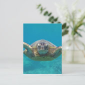 Carte Postale Hawaii Honu (Debout devant)