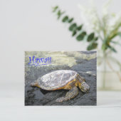 Carte Postale Hawaii - Honu (Debout devant)